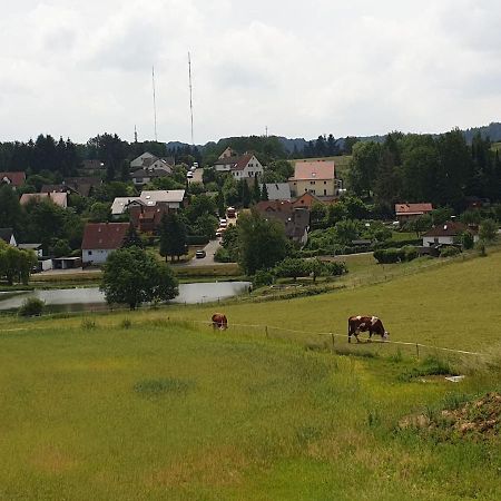 Appartamento Steinackerhof Burgthann Esterno foto